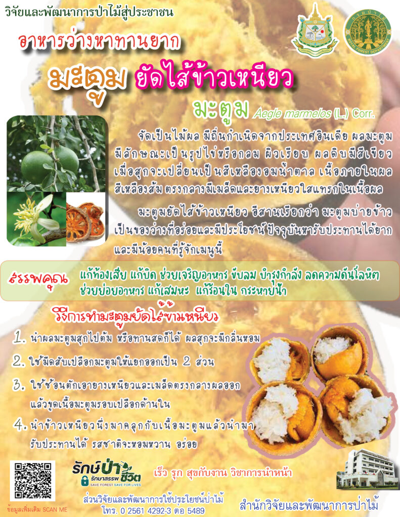 thumbnail of อาหารว่างหาทานยาก มะตูมยัดใส้ข้าวเหนียว