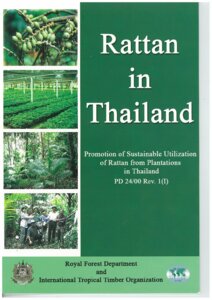 thumbnail of Rattan in Thailand